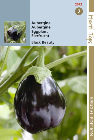 Aubergine Black Beauty (Solanum) 225 zaden HT